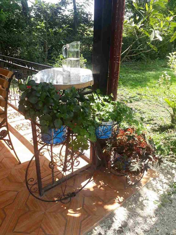 Guest House Danelia Martvili Dış mekan fotoğraf