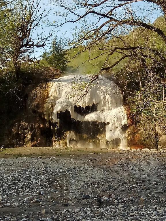 Guest House Danelia Martvili Dış mekan fotoğraf