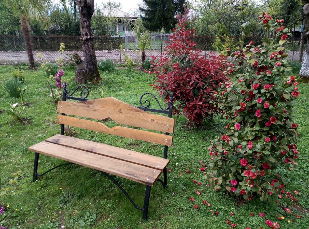 Guest House Danelia Martvili Dış mekan fotoğraf